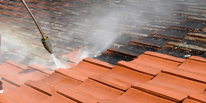 Seacoast Roof Cleaning